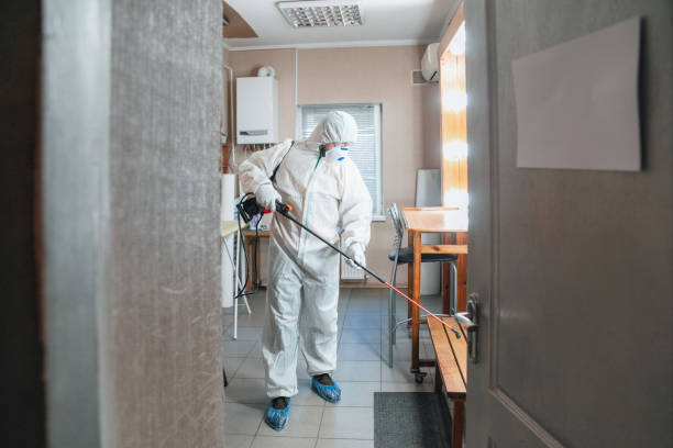 Why You Should Choose Our Mold Remediation Services in Del Rio, TX